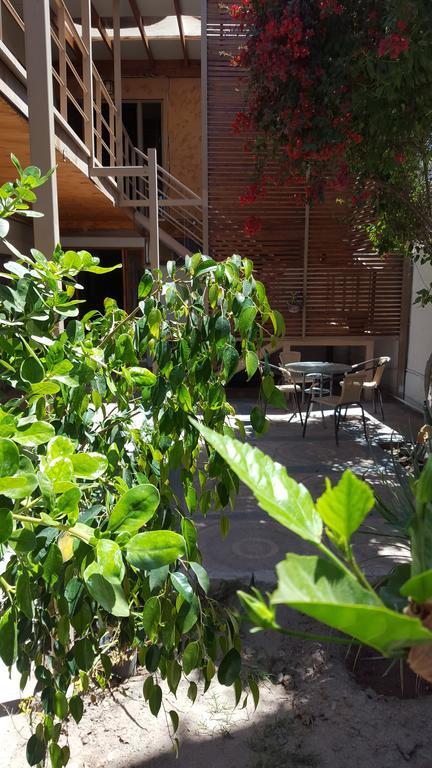 Amaru Hotel Copiapó Extérieur photo